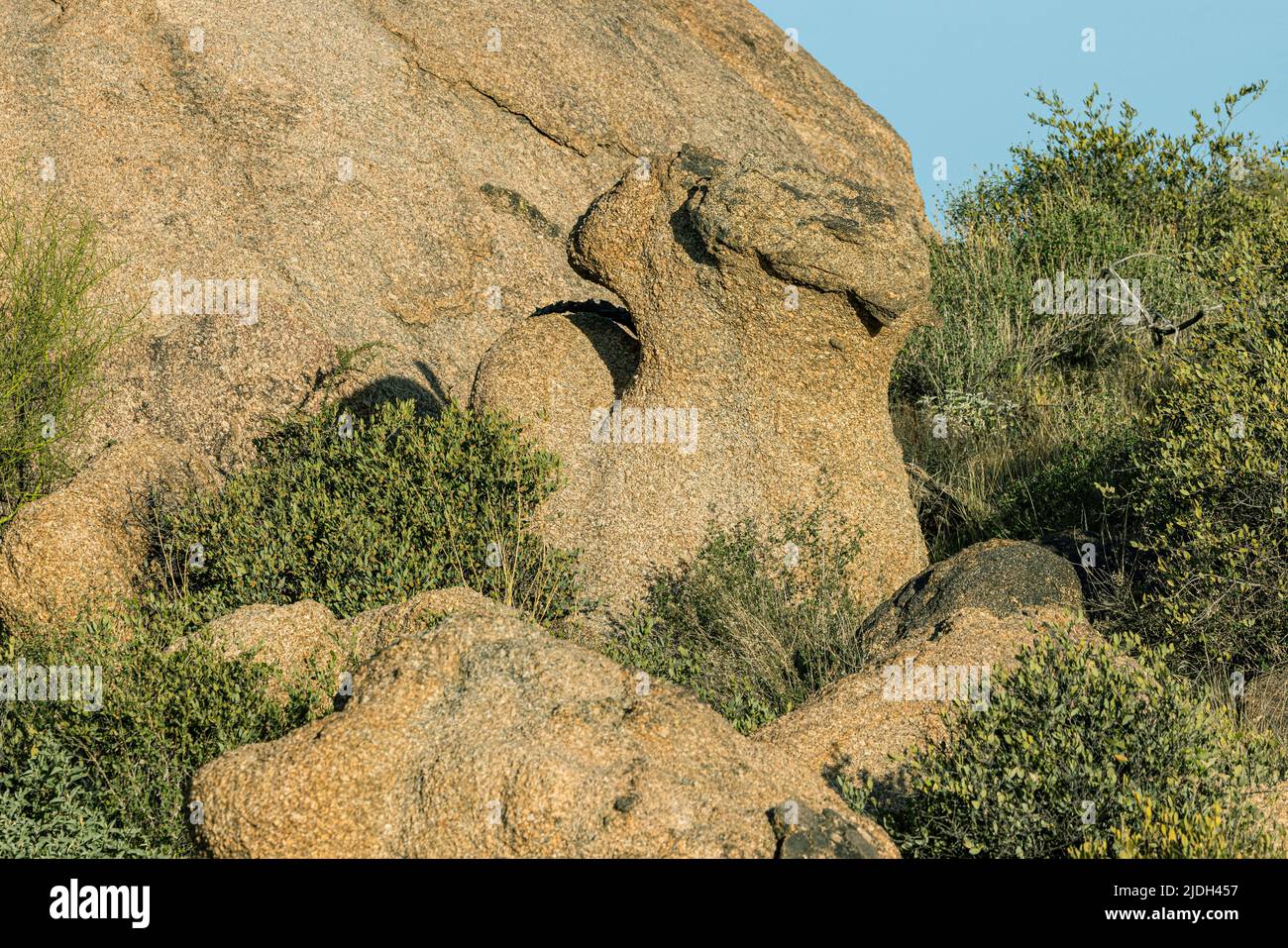 Pilzförmiger Felsen, steiniger Pilz, Brown`s Ranch Trailhead, USA, Arizona Stockfoto